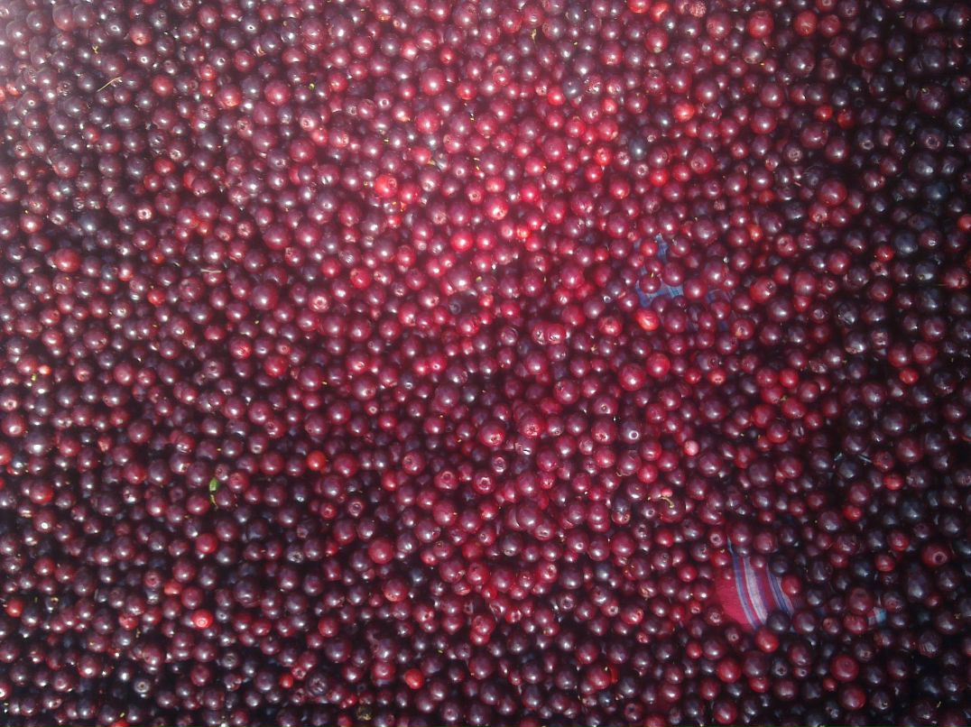 Семен Иванов фотография #48