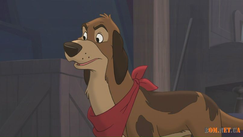 Dixie Dog фотография #22