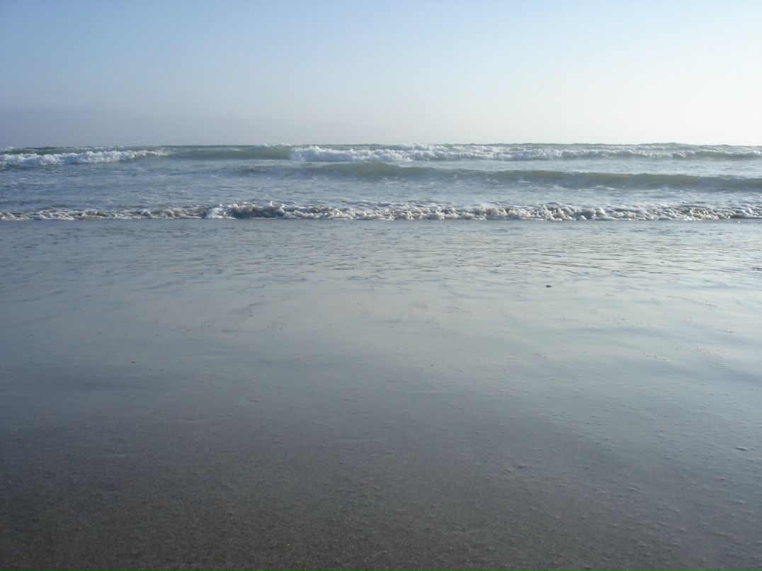 Евгений Петров фотография #1