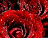 Фотография Башмаковой Галины