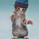 Діма Губенко фотография #44 (источник - https://vk.com/id83840813)