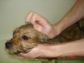 Иван Андреев фотография #18 (источник - https://vk.com/id2534545)