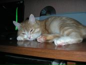 Фотография Kushnarev Oleg