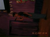 Fred Lutsenko фотография #13 (источник - https://vk.com/id90709091)