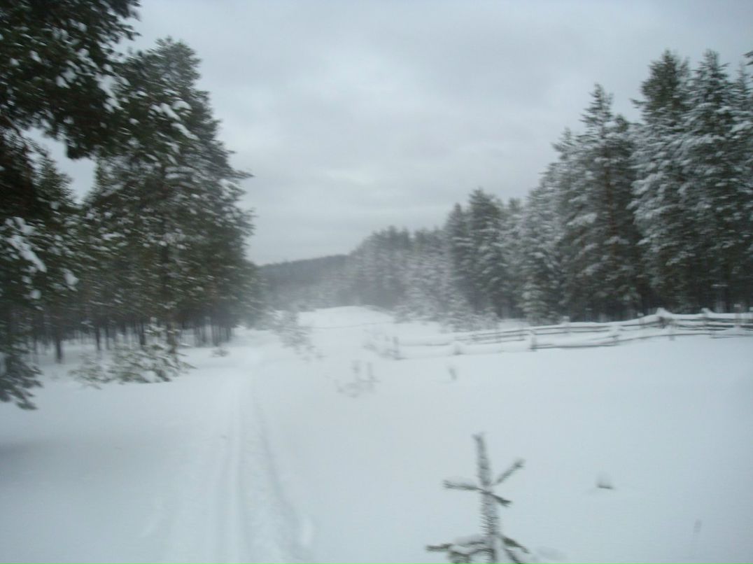 Никита Орлов фотография #5