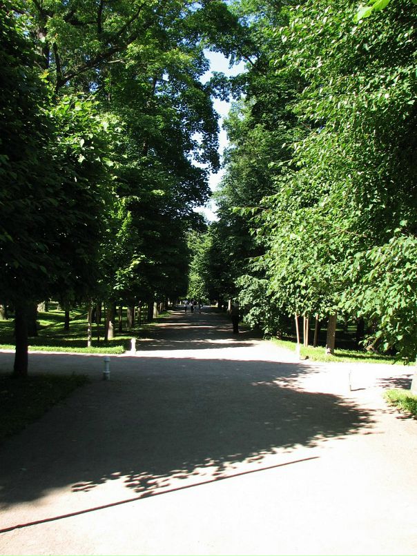 Никита Орлов фотография #19