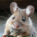 Фотография Соболева Артема