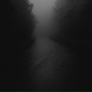 Фотография Балеевой Нины