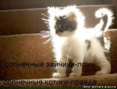 Фотография Матвеевой Анны