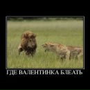 Фотография Боровикова Ольга