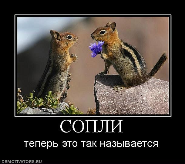 Бодька Бодька фото №22
