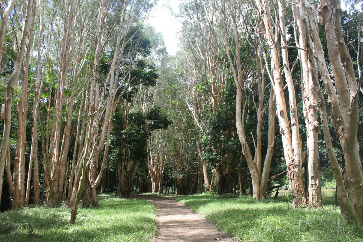 Дмитрий Венгерцев фотография #14