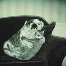 Таємно Таємно фотография #3 (источник - https://vk.com/id136179357)