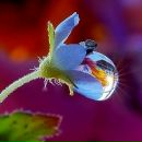 Фотография Ихсановой Эли