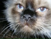 Фотография Мятелковой Марины