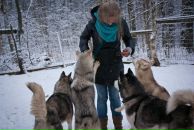 Фотография Saraswat Nadya