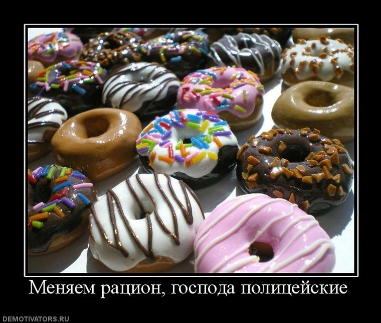 Дмитрий Васильев фотография #38