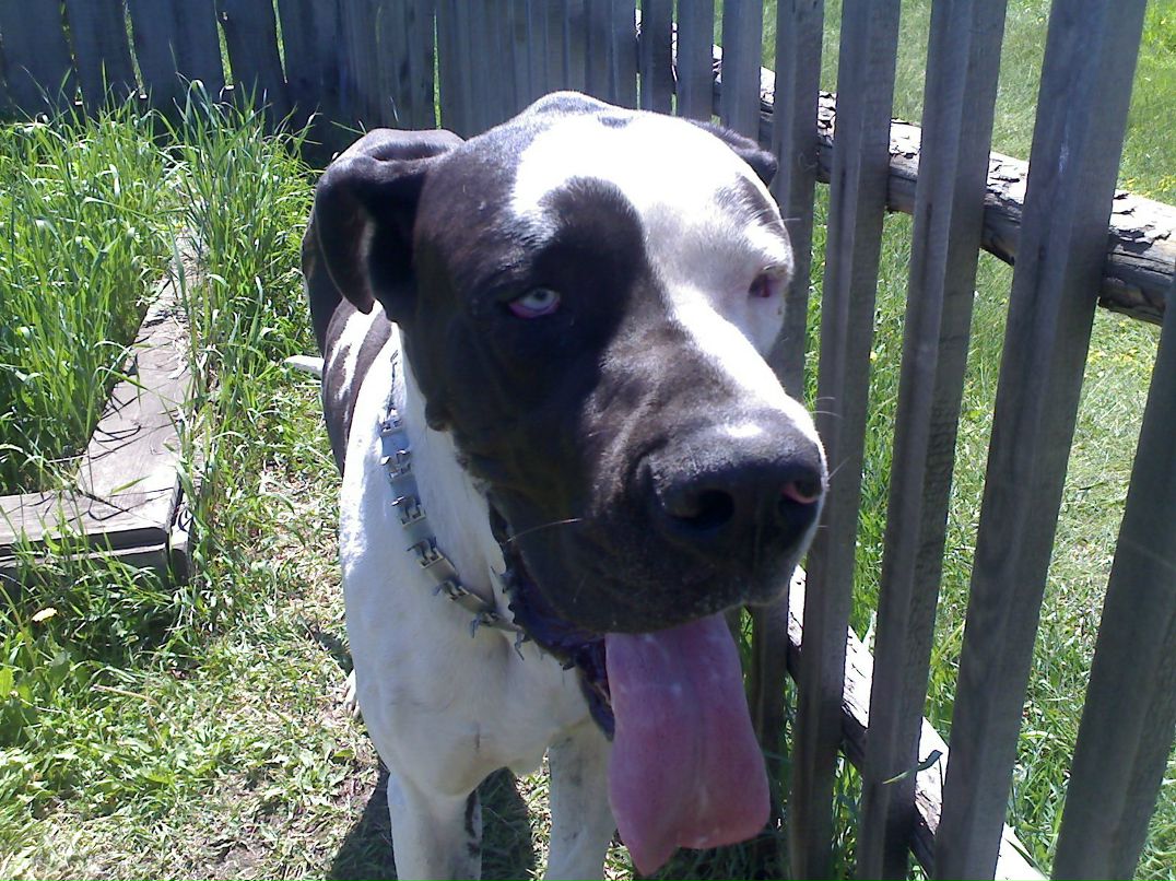 Базыр Дамбаев фотография #32