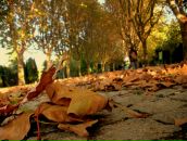 Kaya Tuna фотография #18 (источник - https://vk.com/id17752455)