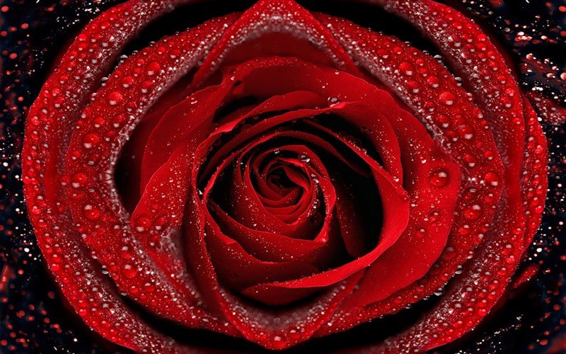 Наталья Яковлева фотография #13