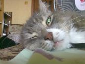 Фотография Панасюка Сергея