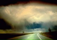 Фотография Dartaeva Olesya