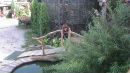 Інна Багаченко фотография #34 (источник - https://vk.com/id136424160)