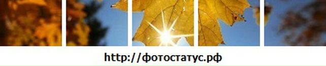 Оля Білаш фотография #49 (источник - https://vk.com/id20184476)