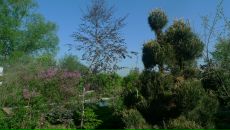 Георгий Никитенко фотография #43 (источник - https://vk.com/id2412298)