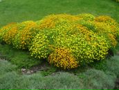 Николай Екименко фотография #1