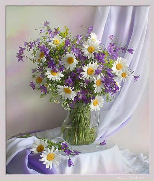 Элла Сумина фото №47