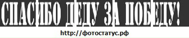 Алексей Степанов фотография #30 (источник - https://vk.com/id50737115)