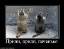 Фотография Стрельцовой Татьяны