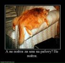 Юрій Зуб фотография #26 (источник - https://vk.com/id93421140)