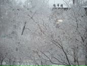 Фотография Орловой Элеоноры