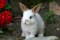 Фотография Котковой Полины