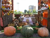 Наталія Кошка фотография #47 (источник - https://vk.com/id55018463)