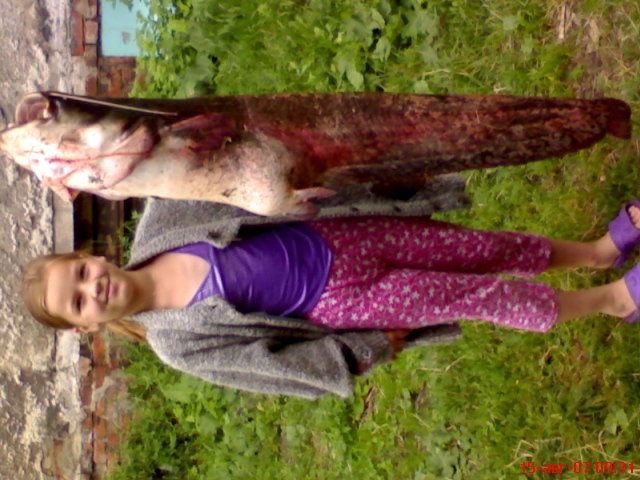 Олег Катасанов фотография #9