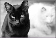 Фотография Чадаевой Ксении