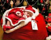 Фотография Иванова Константина