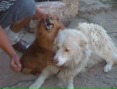 Сергій Петров фотография #36 (источник - https://vk.com/id92831660)