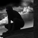 Фотография Воробья Ромки