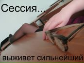 Фотография Степановой Анастасии