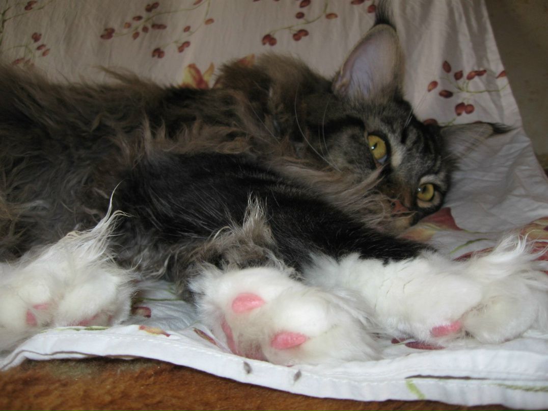 Дмитрий Старцев фотография #50