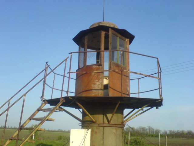 Дмитрий Касап фотография #31