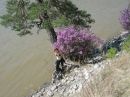 Фотография Киселевой Катерины
