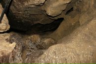 Сергій Метелюк фотография #21 (источник - https://vk.com/id72097332)