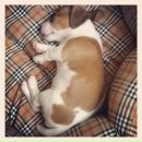 Виктор Евгеньевич фотография #22 (источник - https://vk.com/id455721)