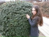 Фотография Габитовой Аси