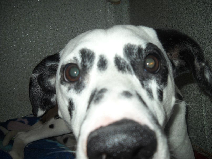 Вячеслав Ус фотография #33